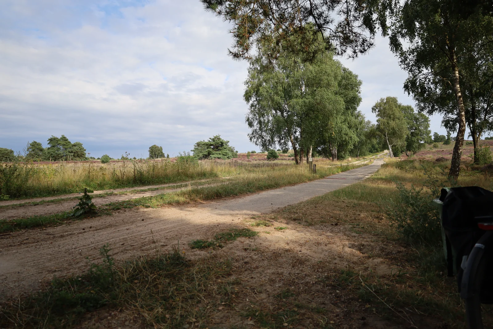 Het zandpad door het landschap